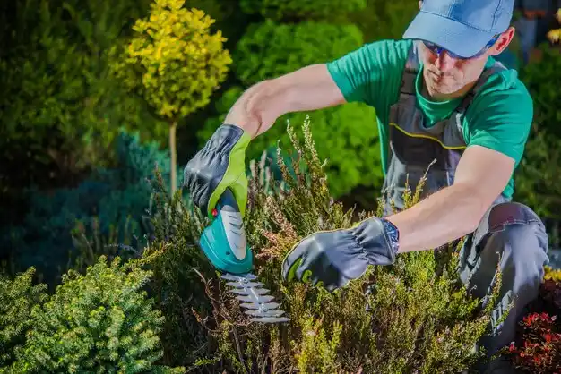 landscaping services Watertown